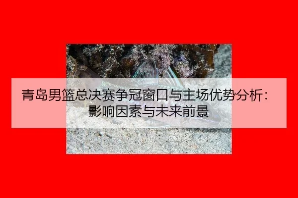 qing-dao-nan-lan-zong-jue-sai-zheng-guan-chuang-kou-yu-zhu-chang-you-shi-fen-xi-ying-xiang-yin-su-yu-wei-lai-qian-jing-2-142.jpg